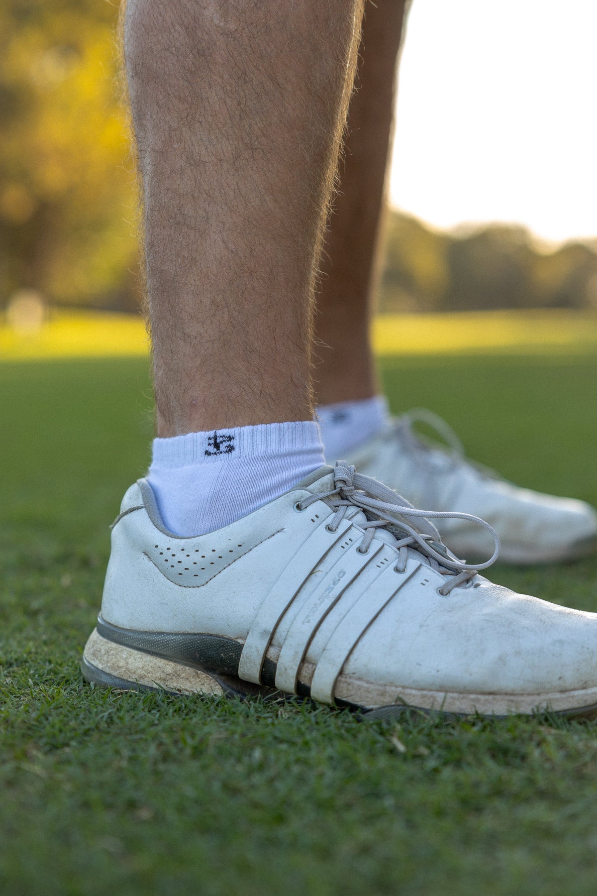 Icon Socks (2-pack)